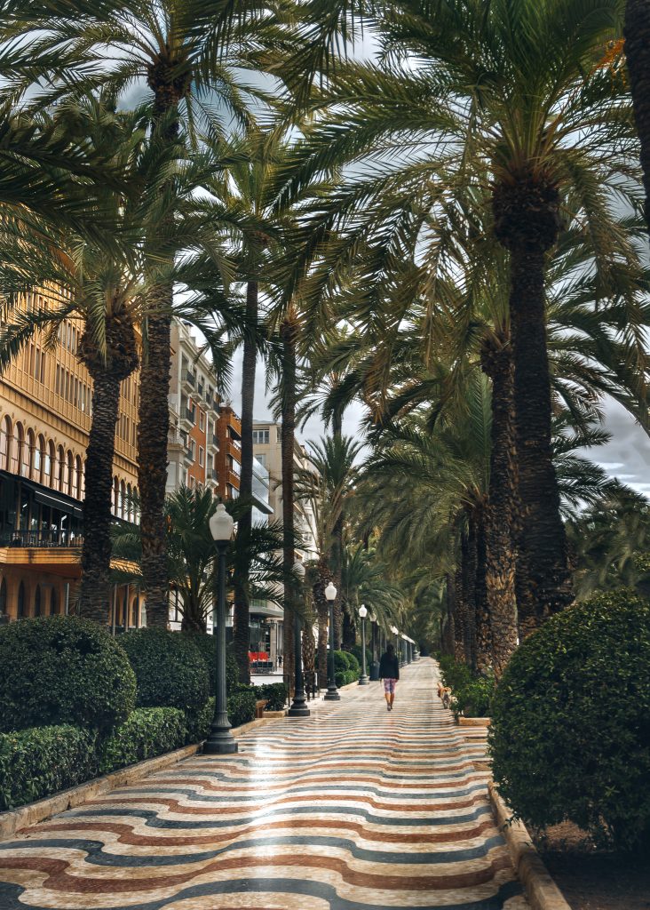 Promenade Explanada in Alicante Old Town, Spain