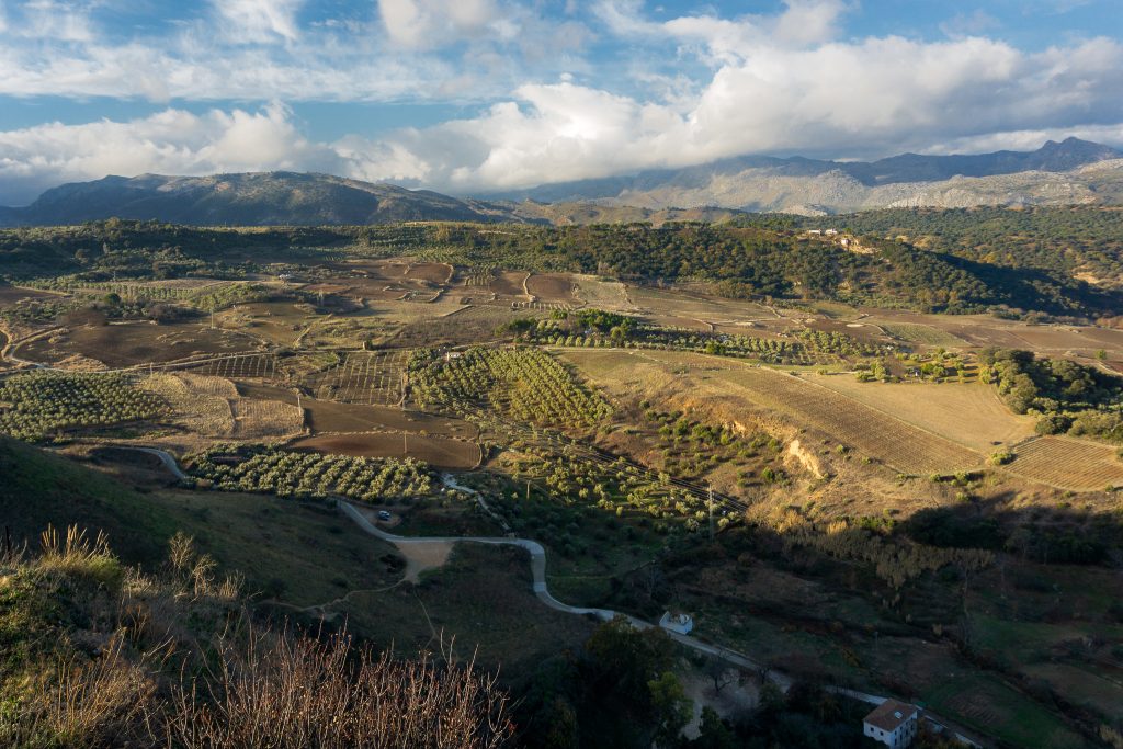 Mirador de Ronda viewpoint - spectacular countryside views