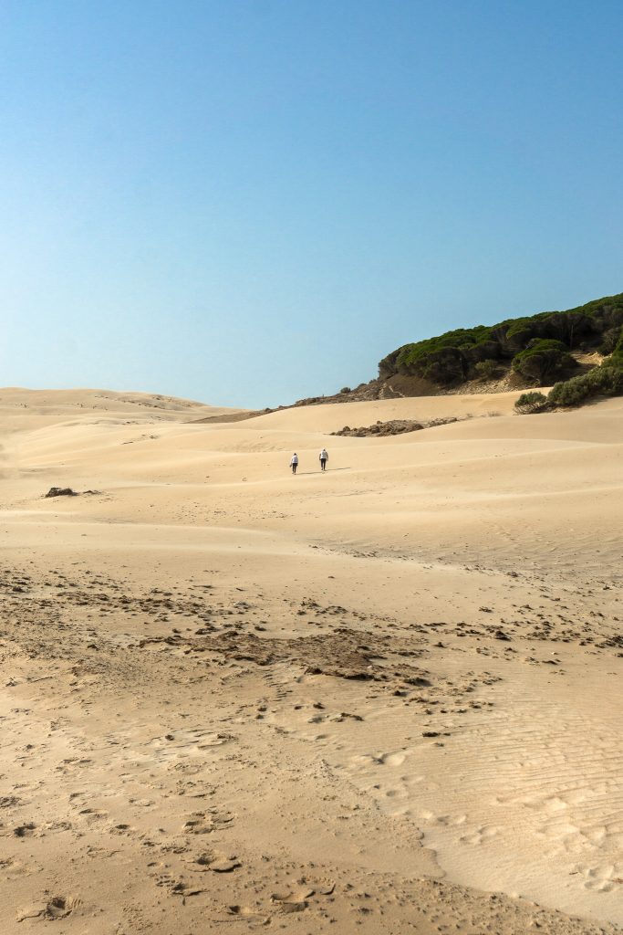 Bolonia Sand Dune in Bolonia Cadiz Spain