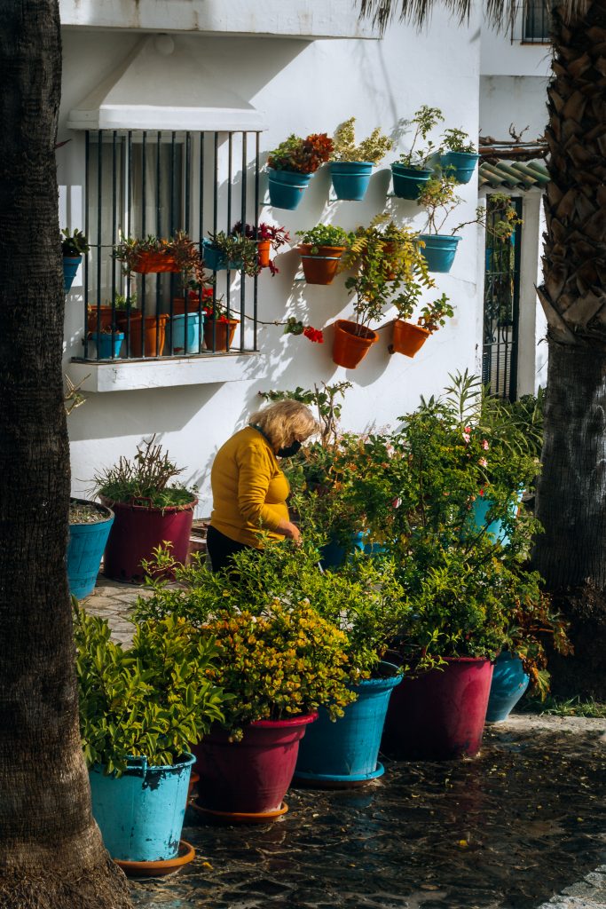 Vejer de la Frontera Old Town Streets - Colorful flowers