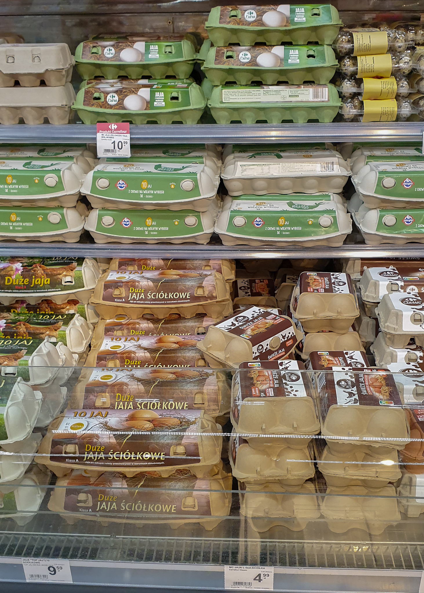 Grocery cost in Poland - eggs