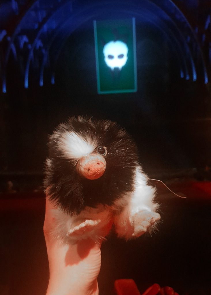 Our Niffler from Hause of Spells shop in London