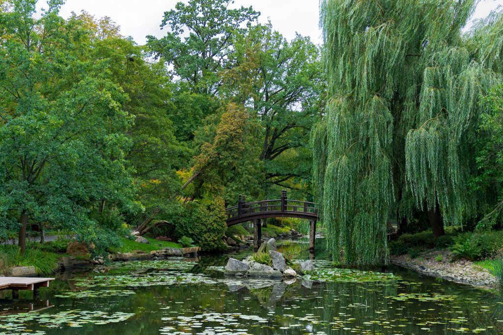 Wrocław Travel Guide - Japanese Garden