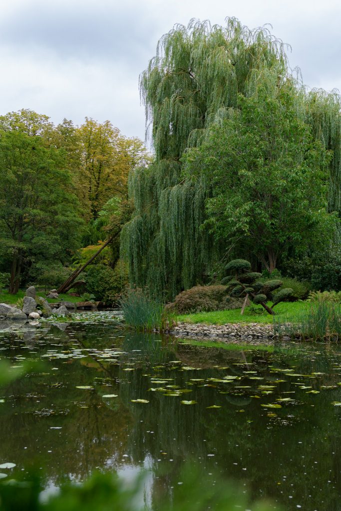 Wrocław Travel Guide - beautiful Japanese Garden