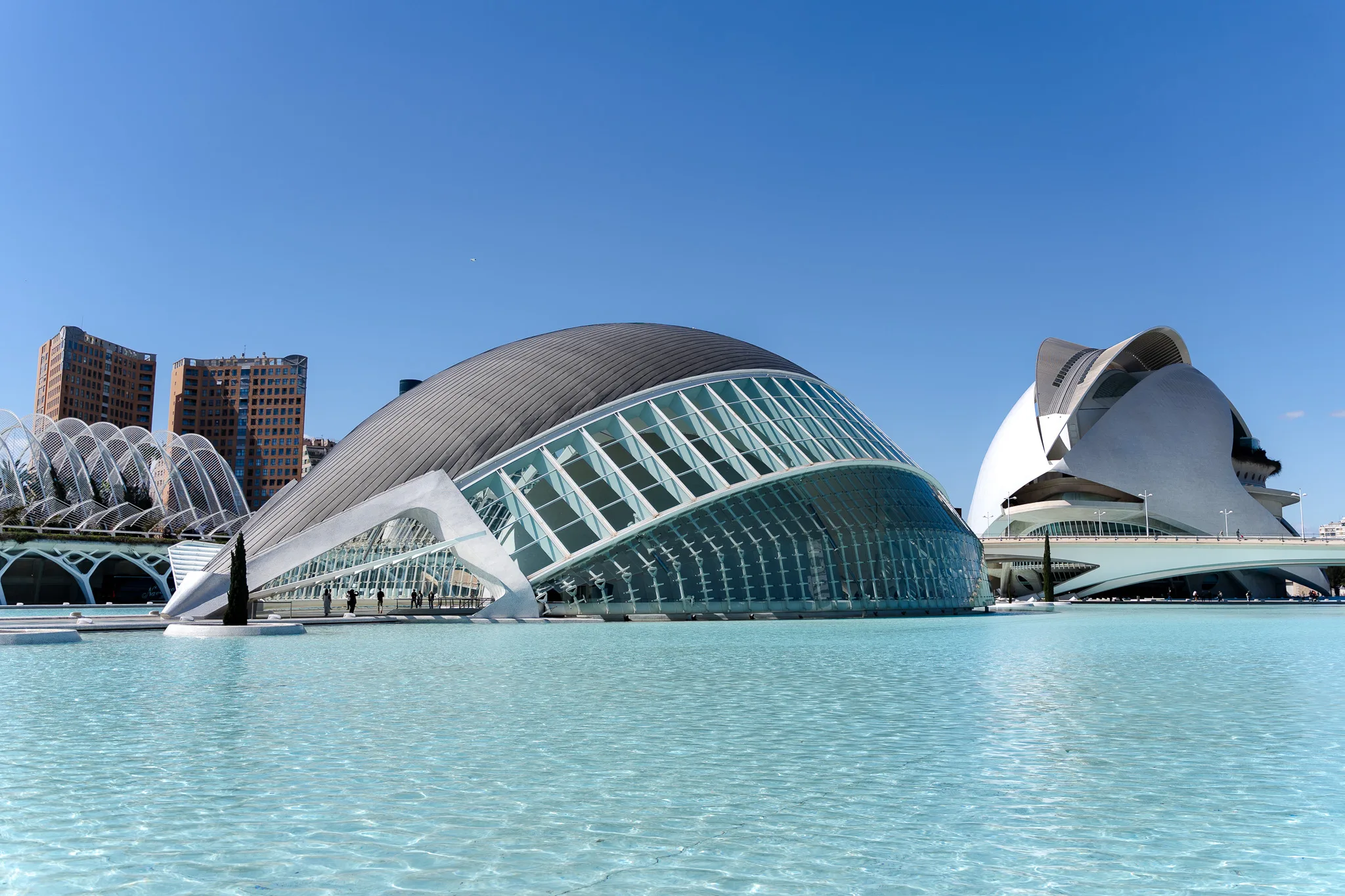 Best Things to do in Valencia - Visit City of Arts and Sciences