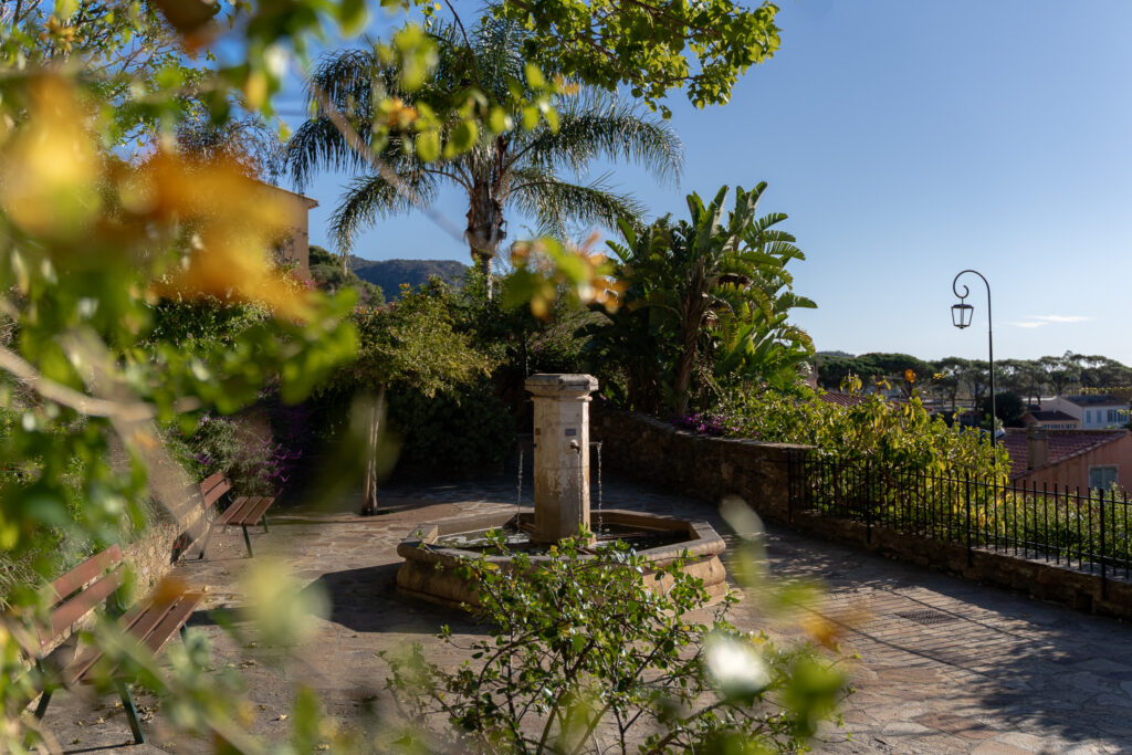 Bormes les Mimosas France - Flower Village On The French Riviera