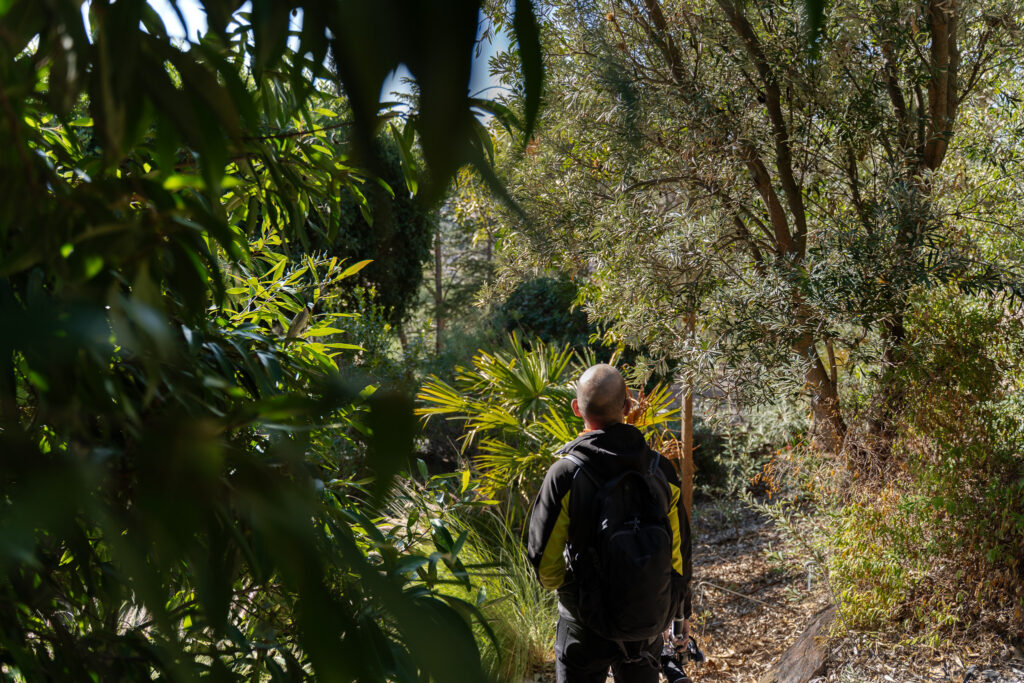 Exploring Botanical Gardens of Bormes les Mimosas