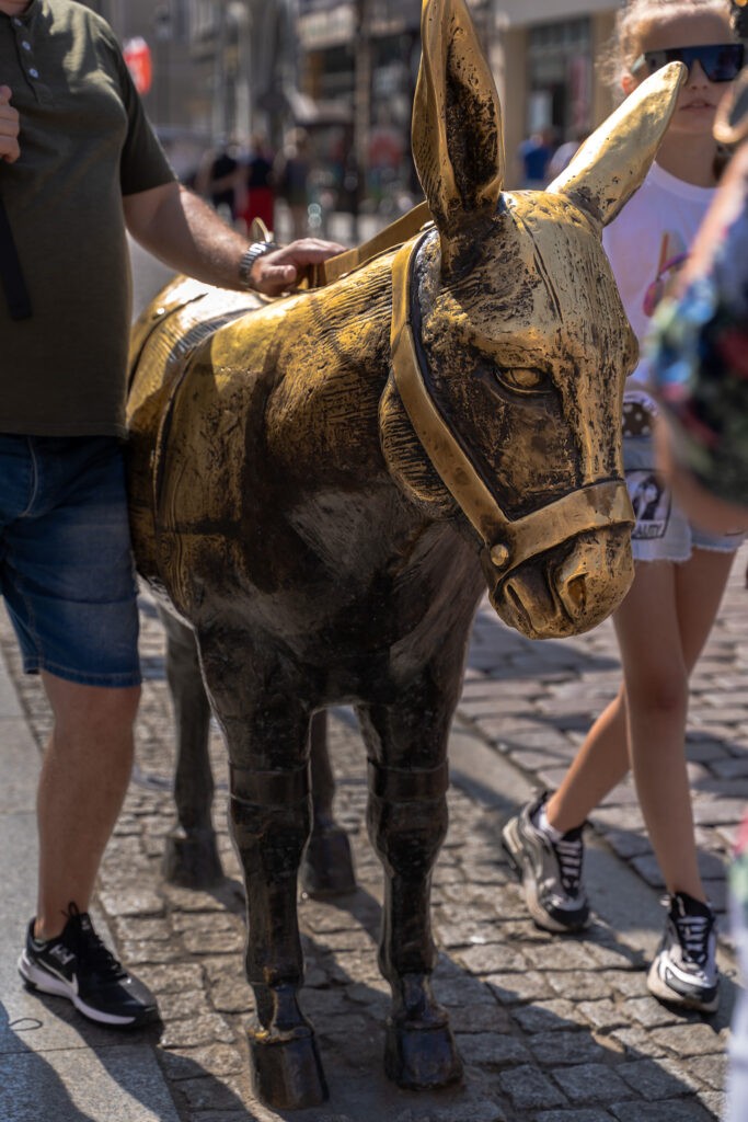 Donkey Monument in Torun Old Town Square