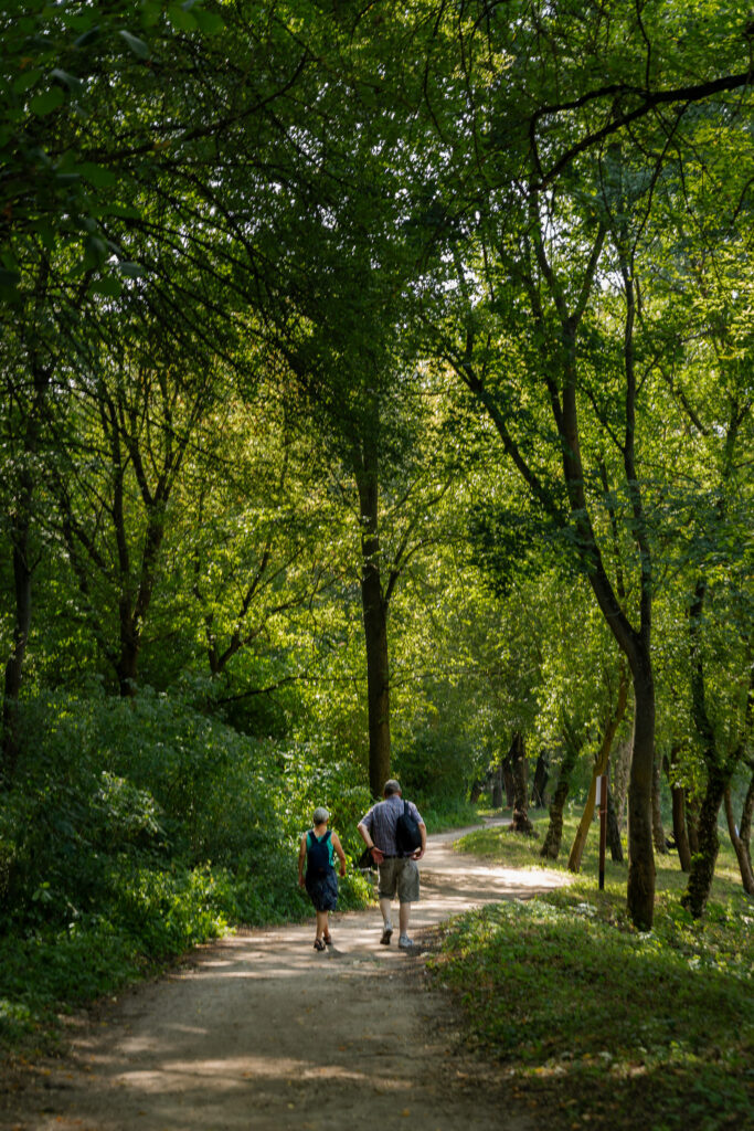 Path to Viewpoint Kępa Bazarowa Torun Poland