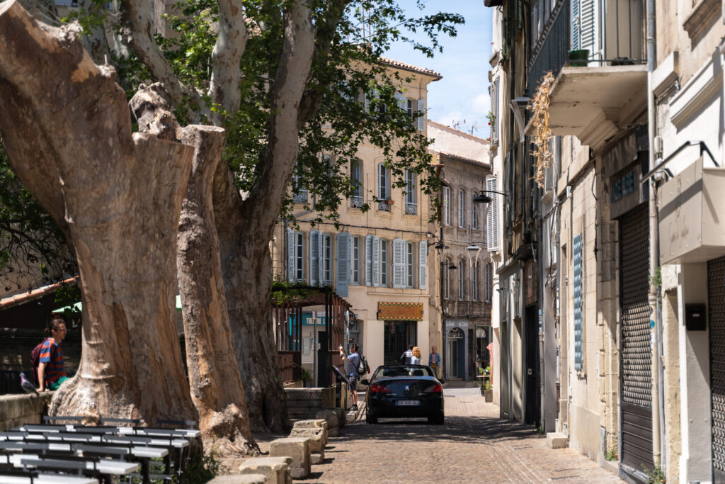 Avignon France Travel Guide