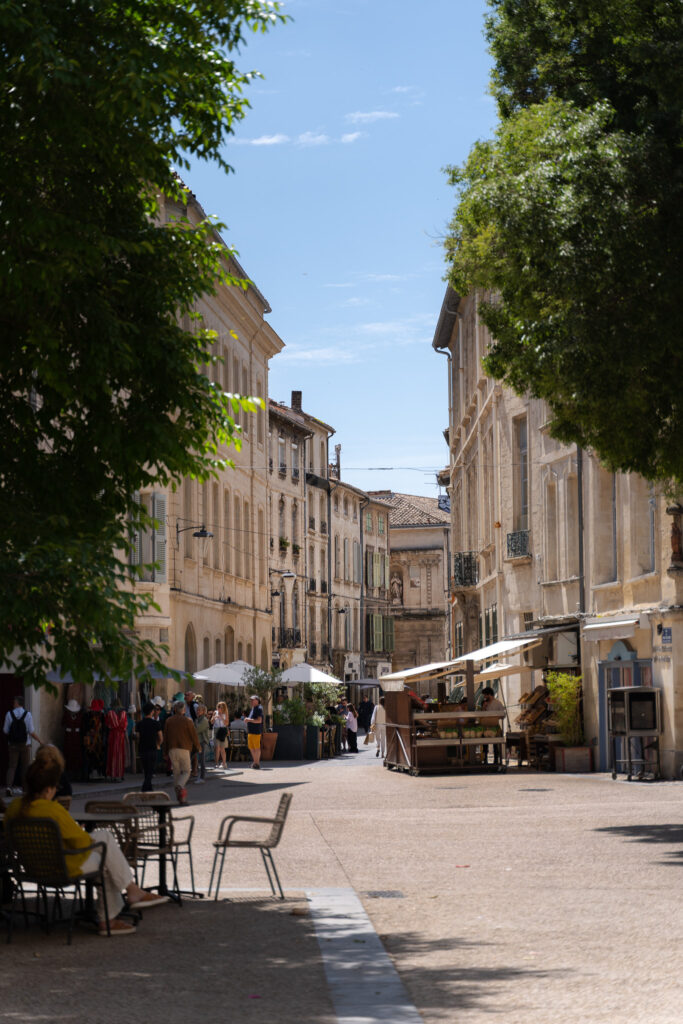 Beautiful Old Town of Avignon