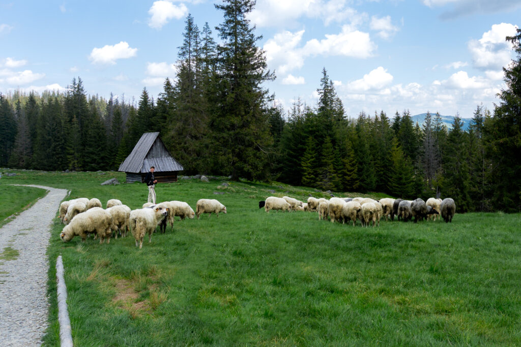 Best things to do in Zakopane Poland