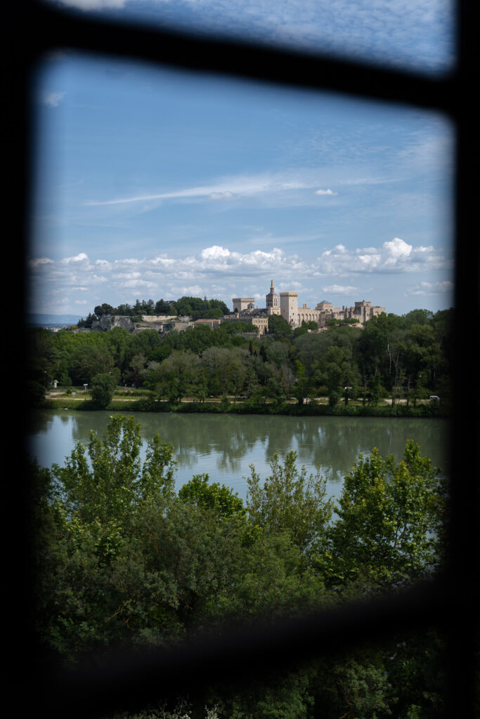 View over Avignon from Philippe le Bel Tower