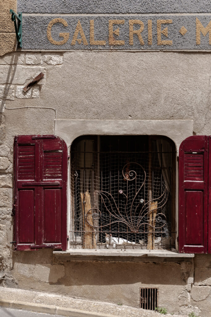 Cute cat in Valensole historic centre