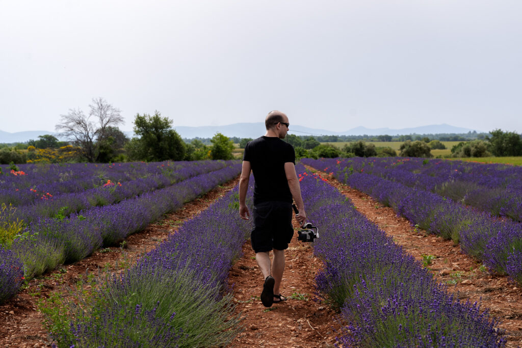 Discover lavender fields of Valensole Provence