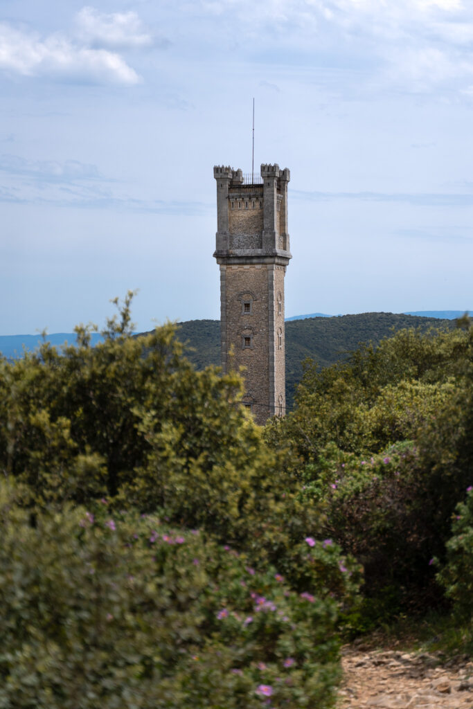 Tour Philippe near Cedar Forest in Bonnieux France