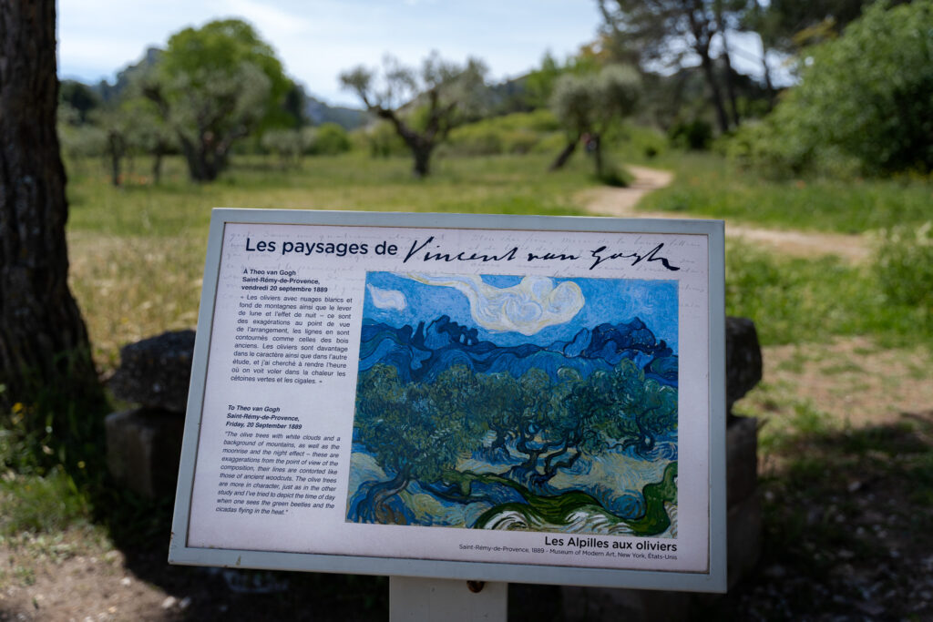 Vincent Van Gogh art in Saint Remy de Provence