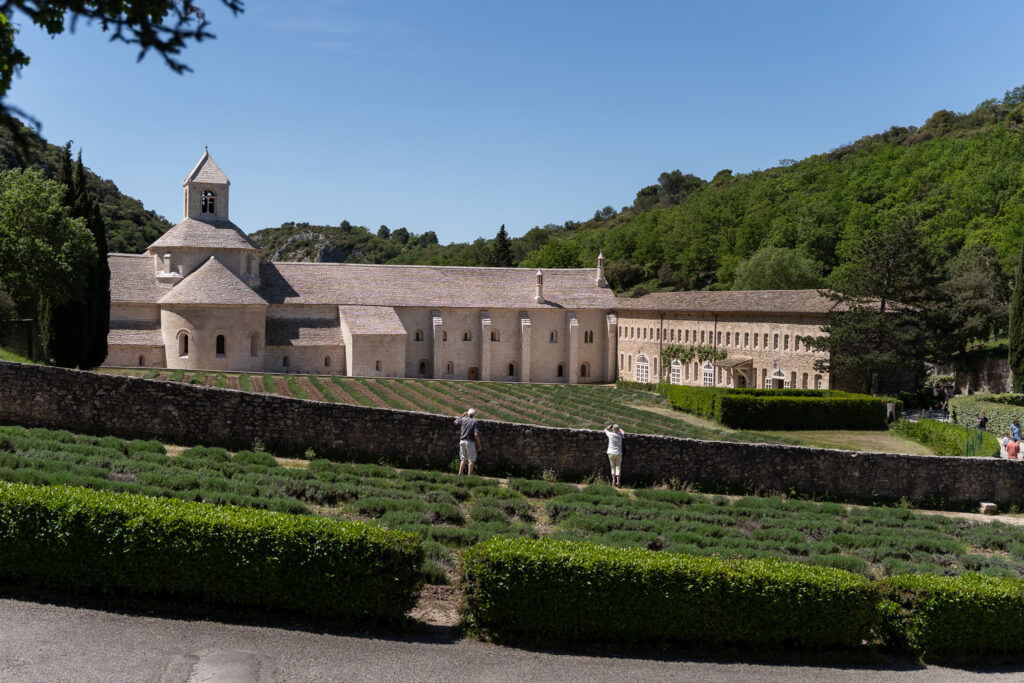 Sénanque Abbey and lavender fields in Gordes France