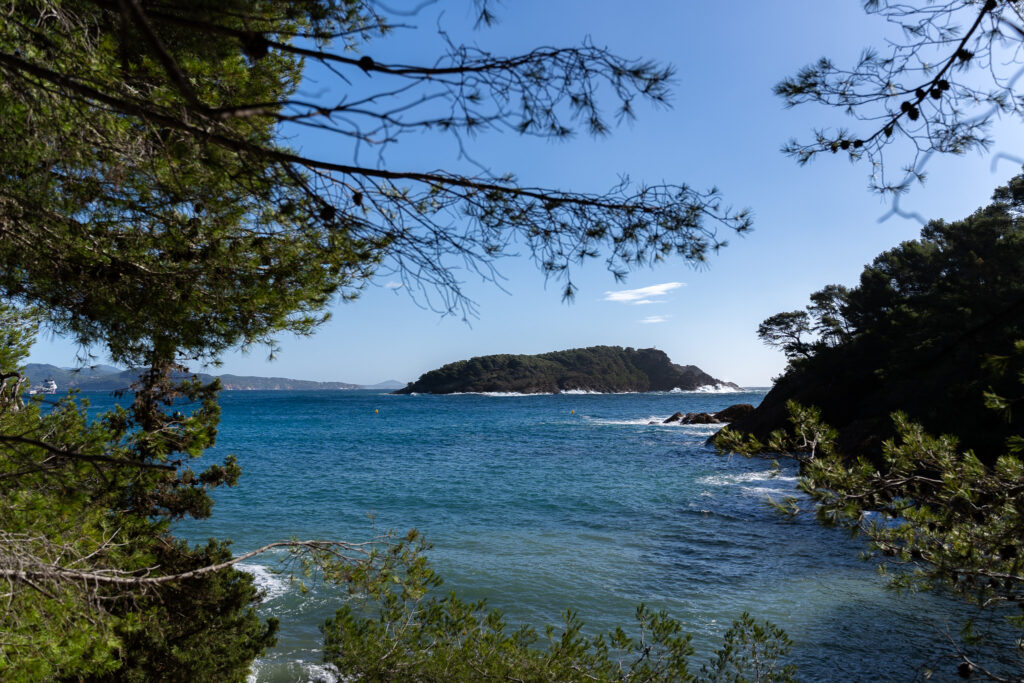 Ile Verte Wooded Island in La Ciotat