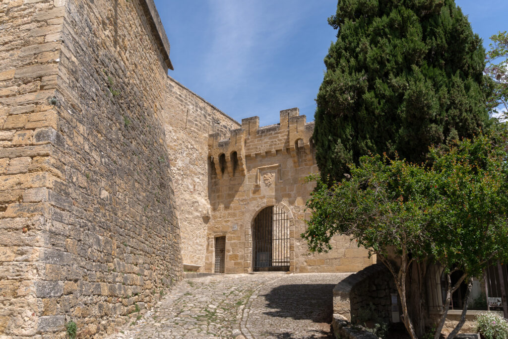 Things to do in Ansouis - Visit Castle
