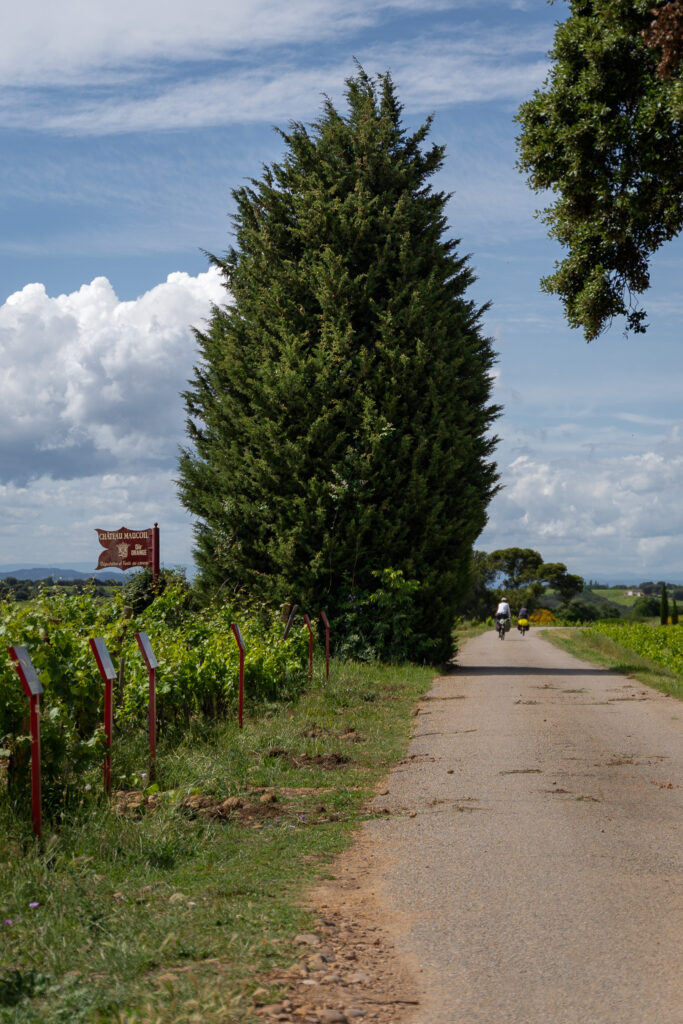 Wine tasting in Châteauneuf-du-Pape