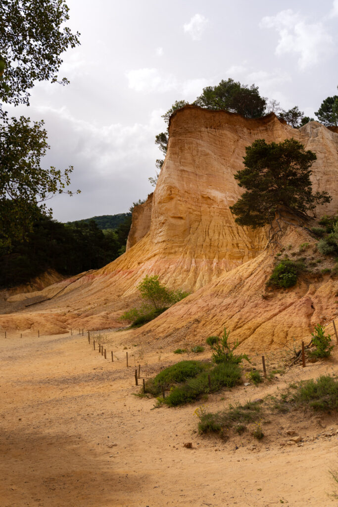 Sahara Circuit in Colorado Provencal Trail