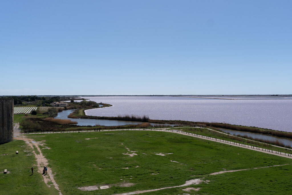 Aigues Mortes Salt Marshes