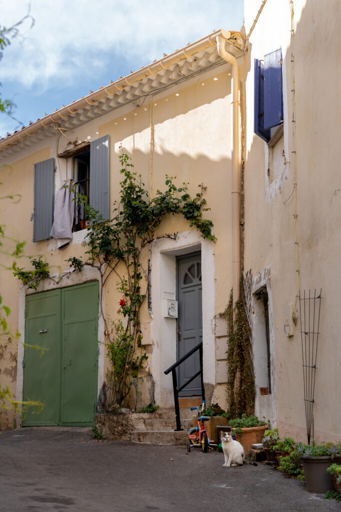 Beautiful building and a cute cat in Orgon