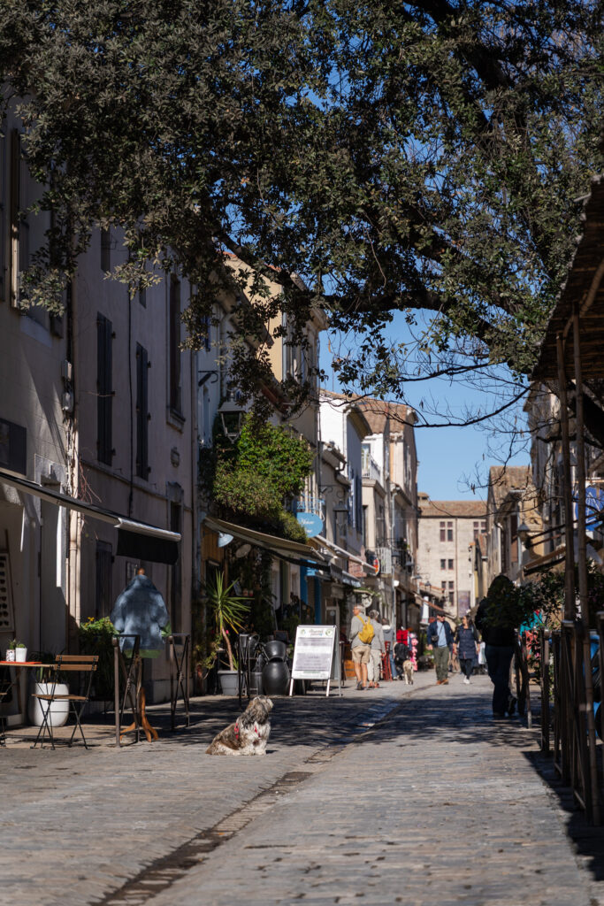 Medieval Streets Of Aigues Mortes