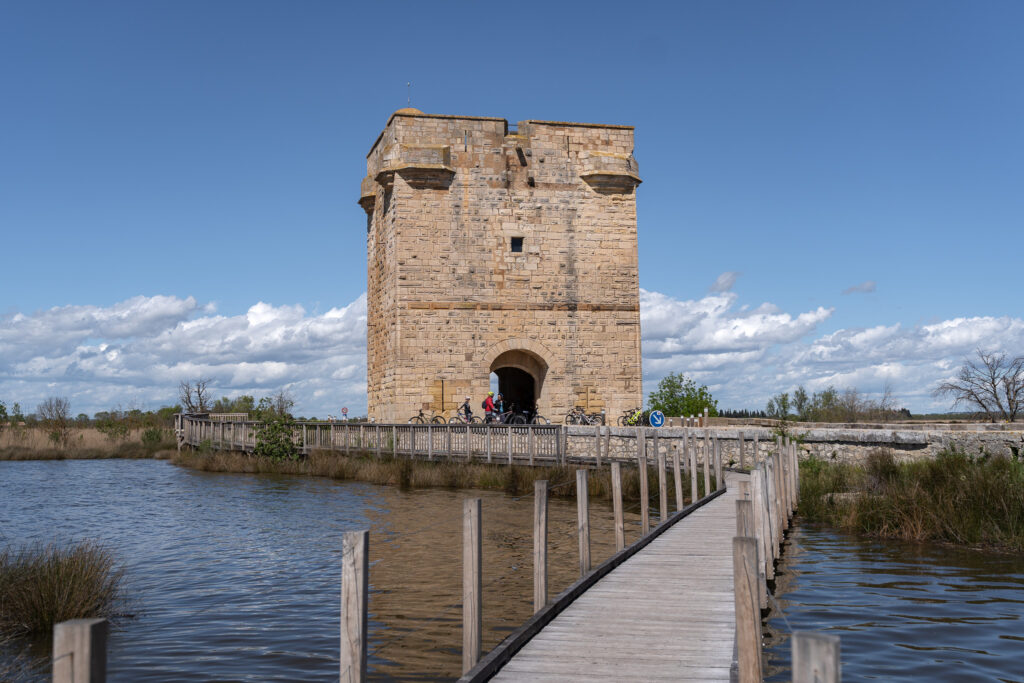 Tour Carbonnière and Camargue in Aigues Mortes